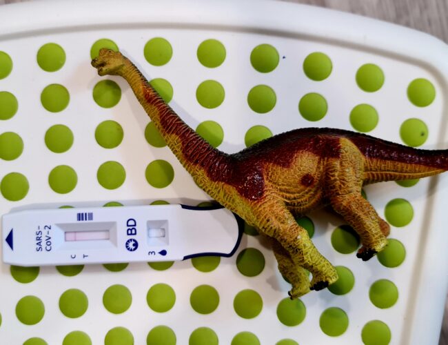 帮小孩做ART Swab Test