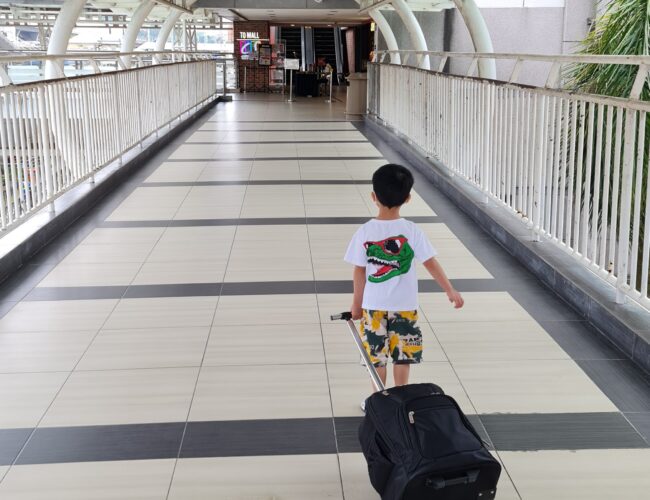 出入境杂谈 (自我检测/入新居家隔离/确诊康复证明)