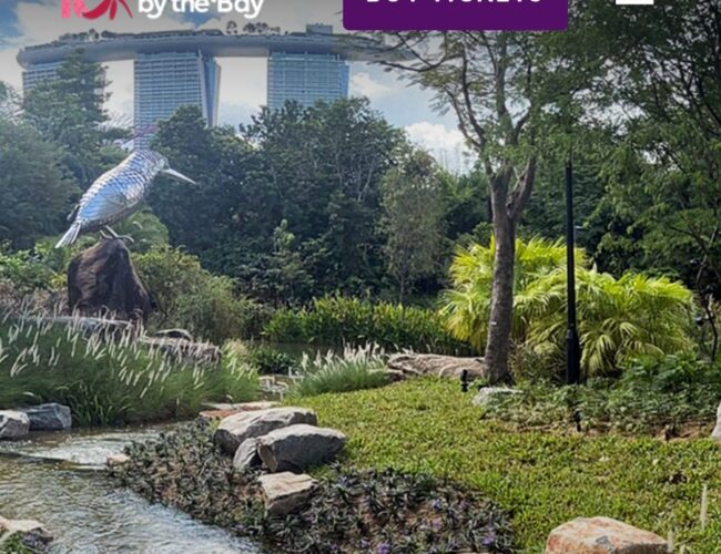 📢 免费沾花惹草 🆓