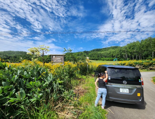 北海道自驾游全体验