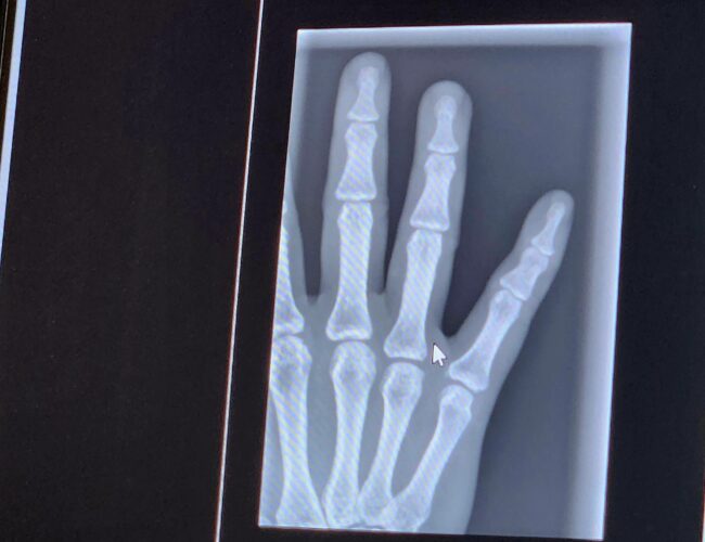 Victoria Wongの意外保险