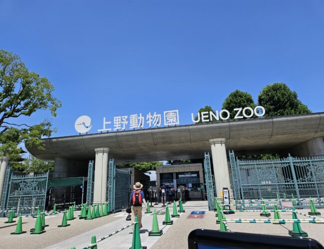 日本 の 东京 —— 第六天