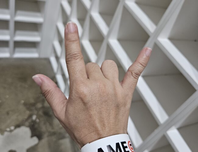 遛娃大快乐 の Game On Theme Park